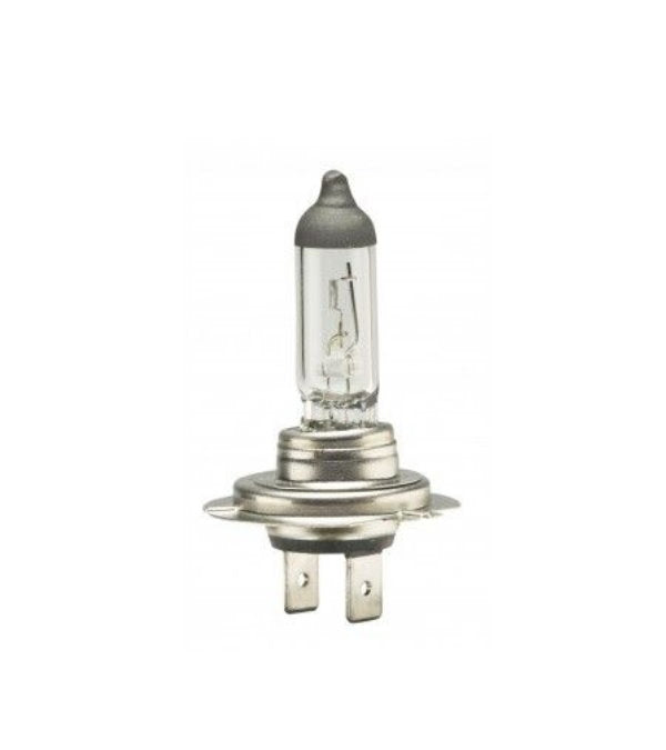 SET 2 BECURI HALOGEN H7 12V 55W